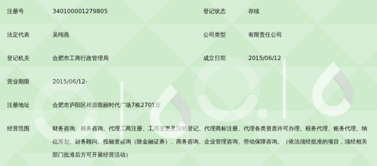 合肥宏一财务咨询管理